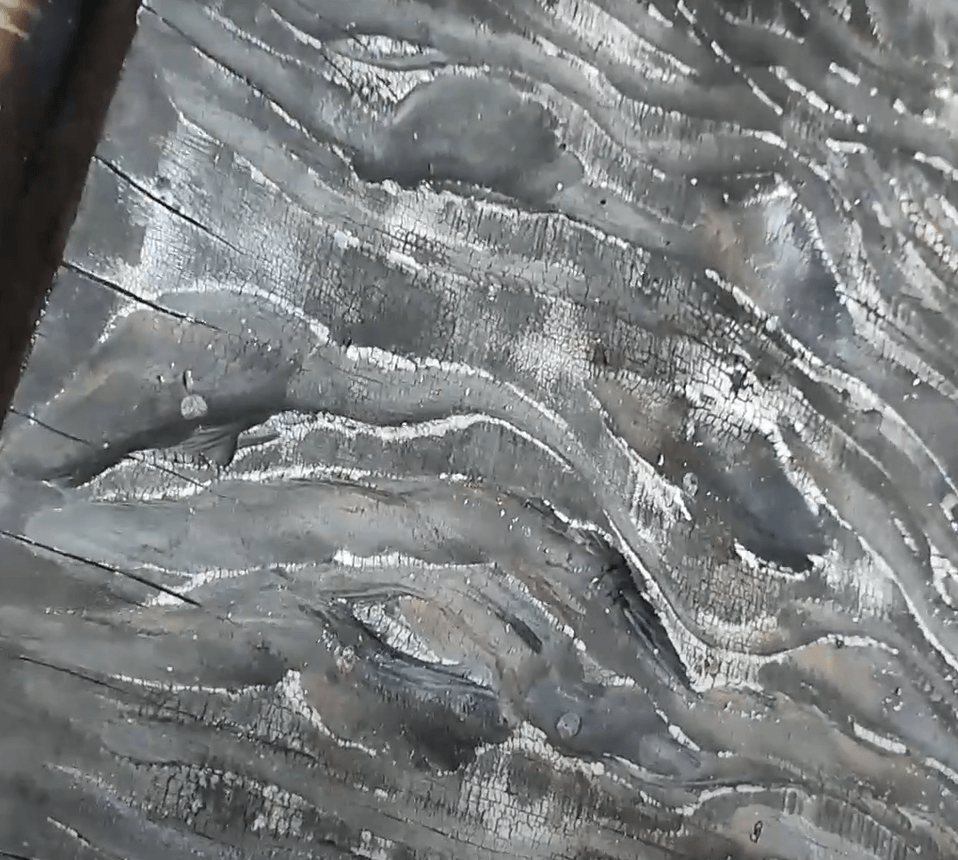 מראה העץ לאחר שריפה: פירוש השם שוגי-סוגי הוא