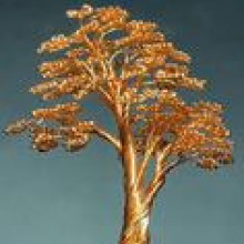 סדנאות משפחתיות: עצי בונסאי מחוטי ברזל