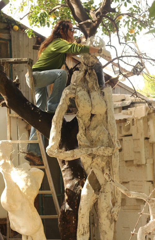 פיסול בבטון -הדס