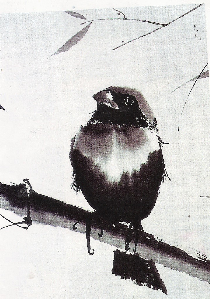 חוגי אמנות לילדים ונוער