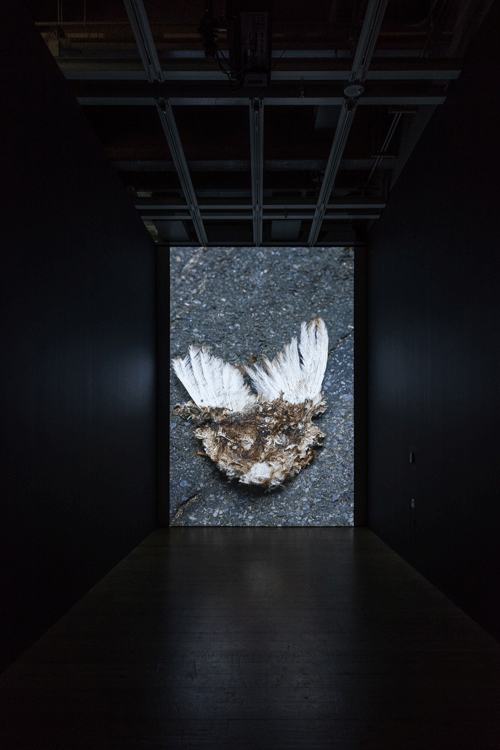 פסיכולוג בתל אביב, רבקה בלמור