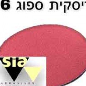 דסקית ספוג גרעינים 2000