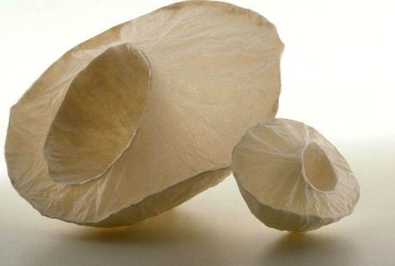 עיסת נייר- פיסול מופשט-מכלים והכלה