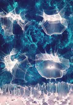 ציור באפוקסי נוזלי ופיגמנטים לאפוקסי