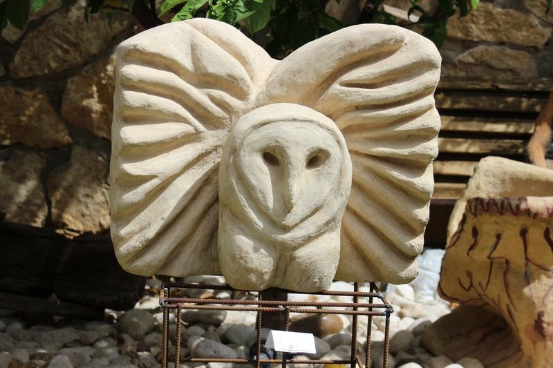 פסלי ציפורים וציורי ציפורים