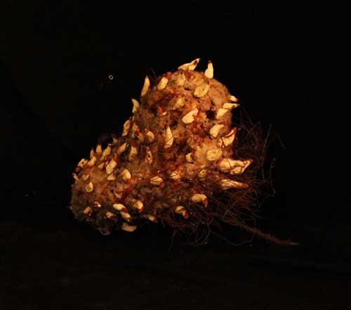 אמנות הטיפול הפסיכולוגי היצירתי 