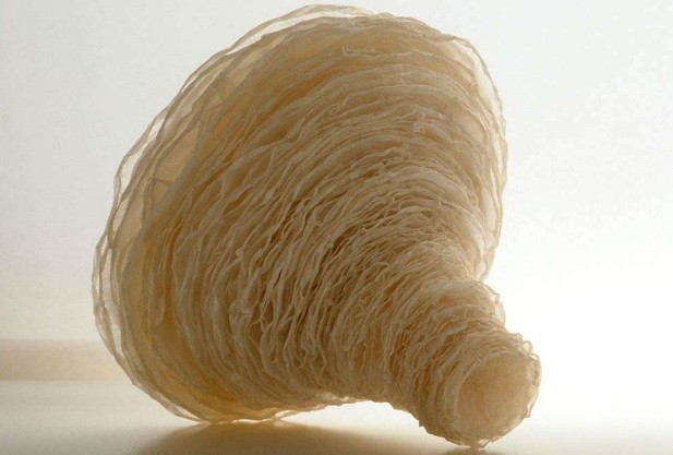 פיסול נייר- פיסול מופשט-טקסטורות עדינות