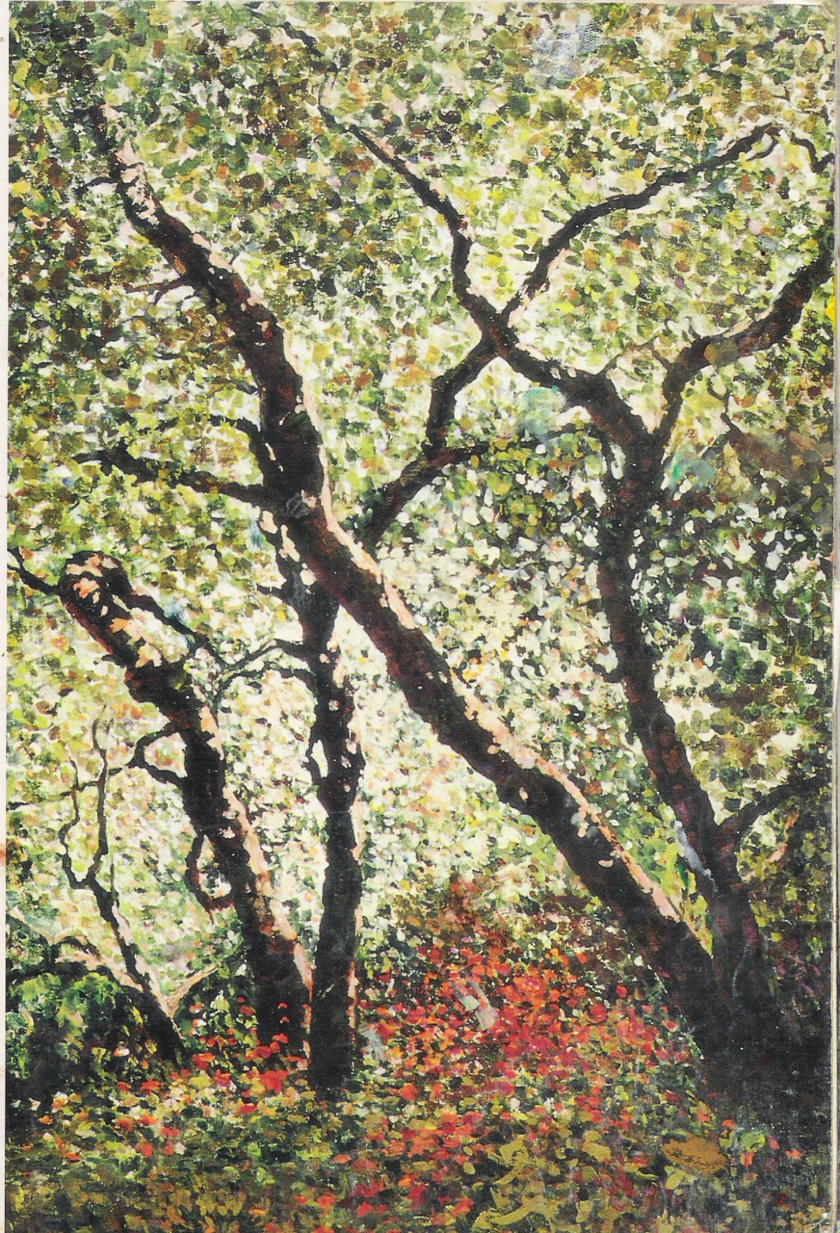 לימוד ציור ראשון לציון