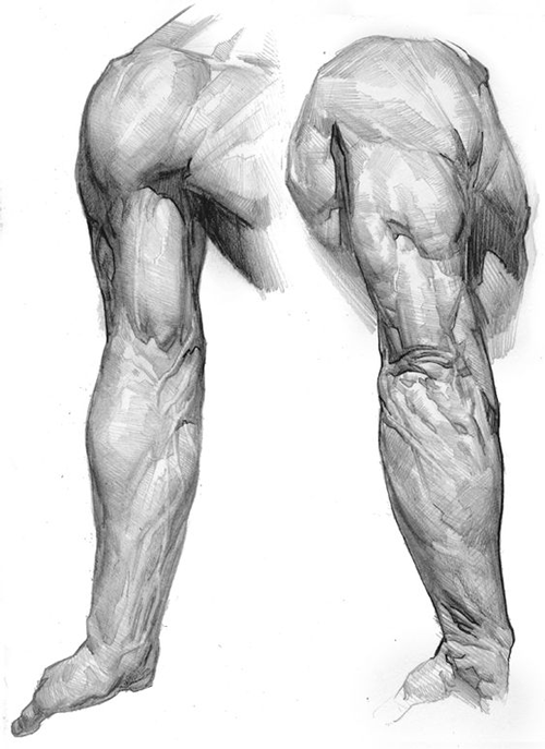 קורס רישום בתל אביב-הפסיכולוגיה של המראה הגברי.