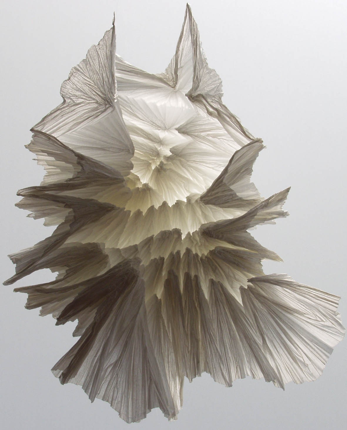 חוגים למבוגרים ,פיסול ועיצוב בנייר: