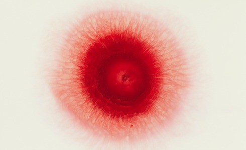 קורס ציור תל אביב: אורי גרשט