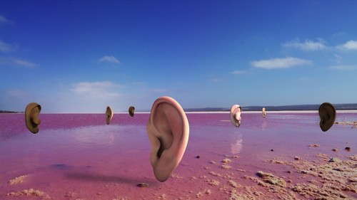 חוגי ציור - ססיל ב. אוונס. -