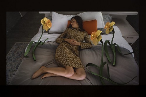  ססיל ב. אוונס. -מה שהלב רוצה