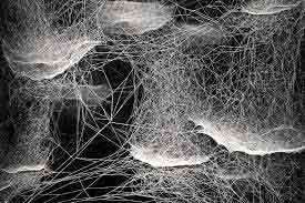 תומס סקרנו-שימוש באור וחוטי ברזל