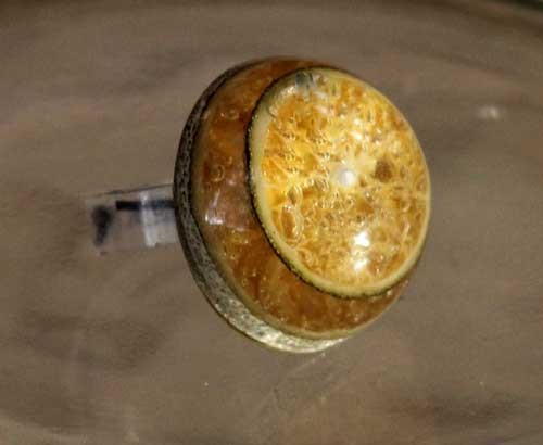 קורסי אפוקסי