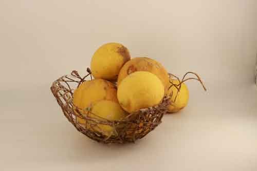 סיבים עם אפוקסי