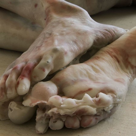 Rebecca Stevenson:פיסול בשעווה