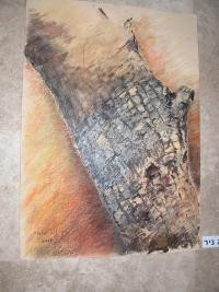 ציור בפסטלים: לימודי ציור-יבנה
