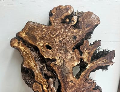  עץ זית הוא קשה מאוד, צפוף ועמיד