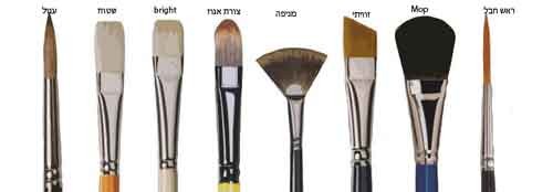 חוגי ציור-מכחולים