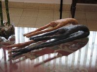 סדנאות למבוגרים לפיסול בנייר