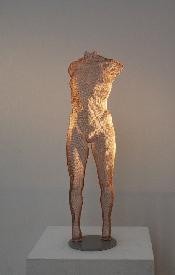 פיסול ברשת מתכת חוג