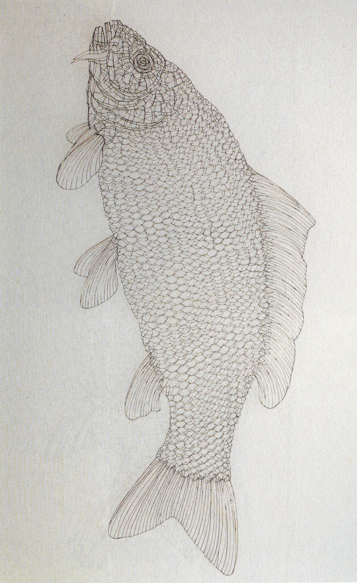 לימודי רישום וציור