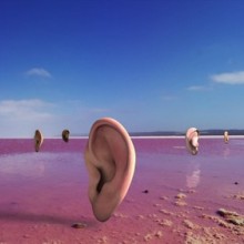 האמן בעידן האינטרנט